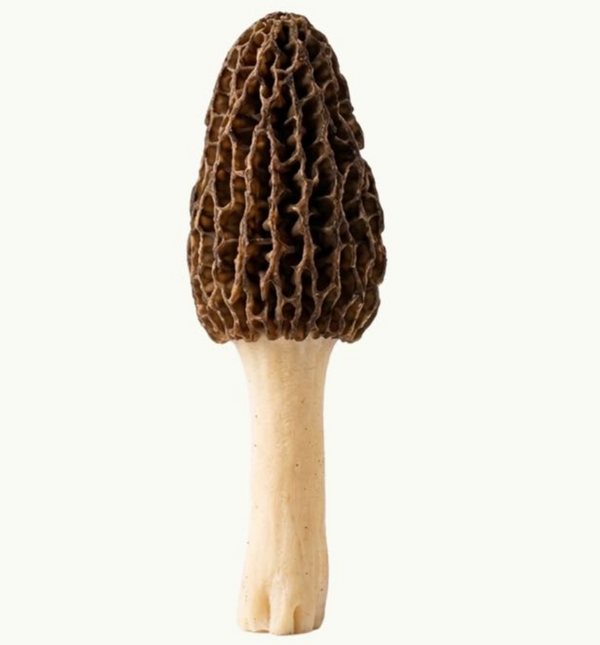 Vitamin B6